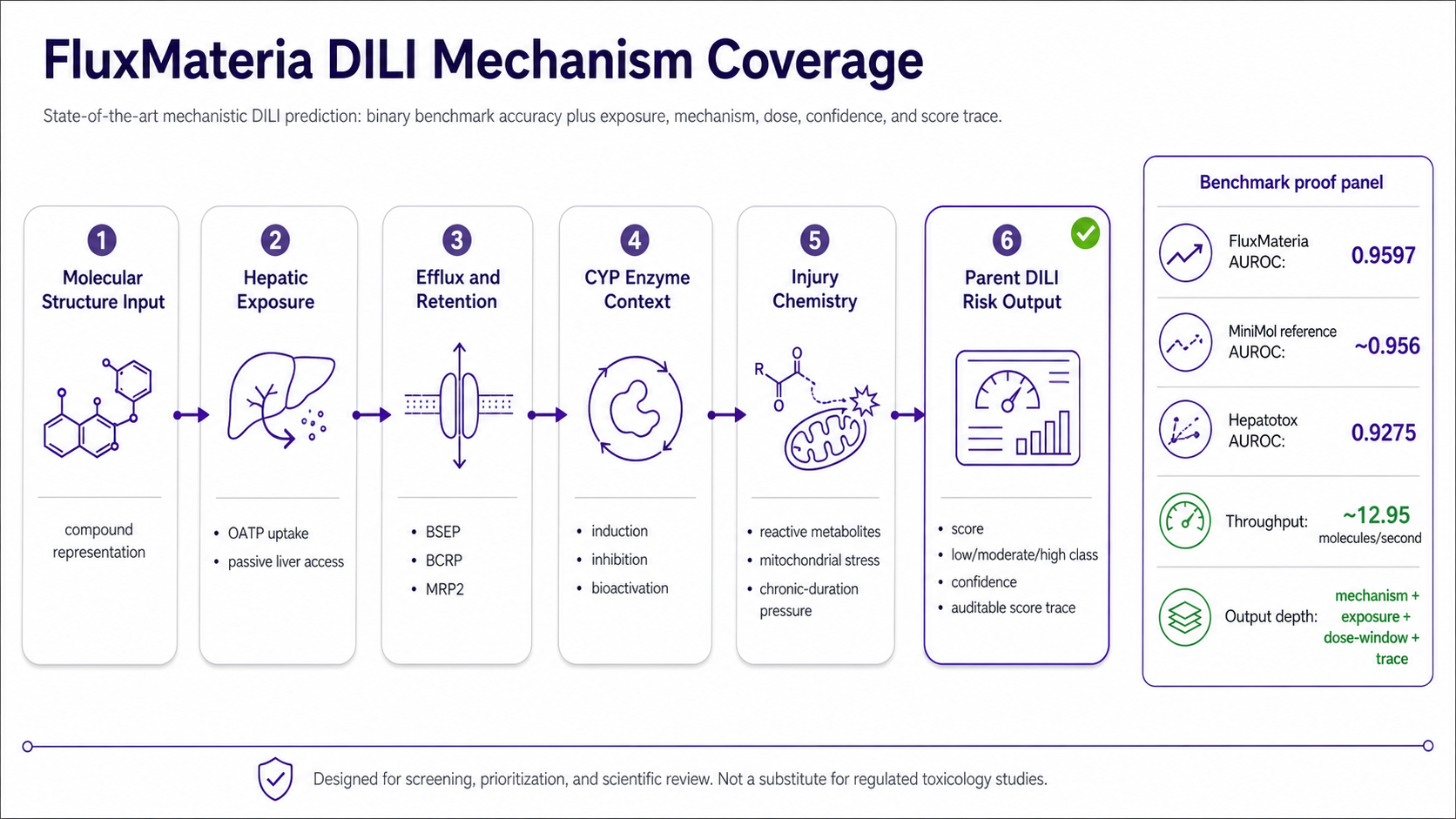 FluxMateria DILI mechanism coverage infographic showing molecular structure input, hepatic exposure, efflux and retention, cytochrome P450 enzyme context, injury chemistry, and parent DILI risk output.