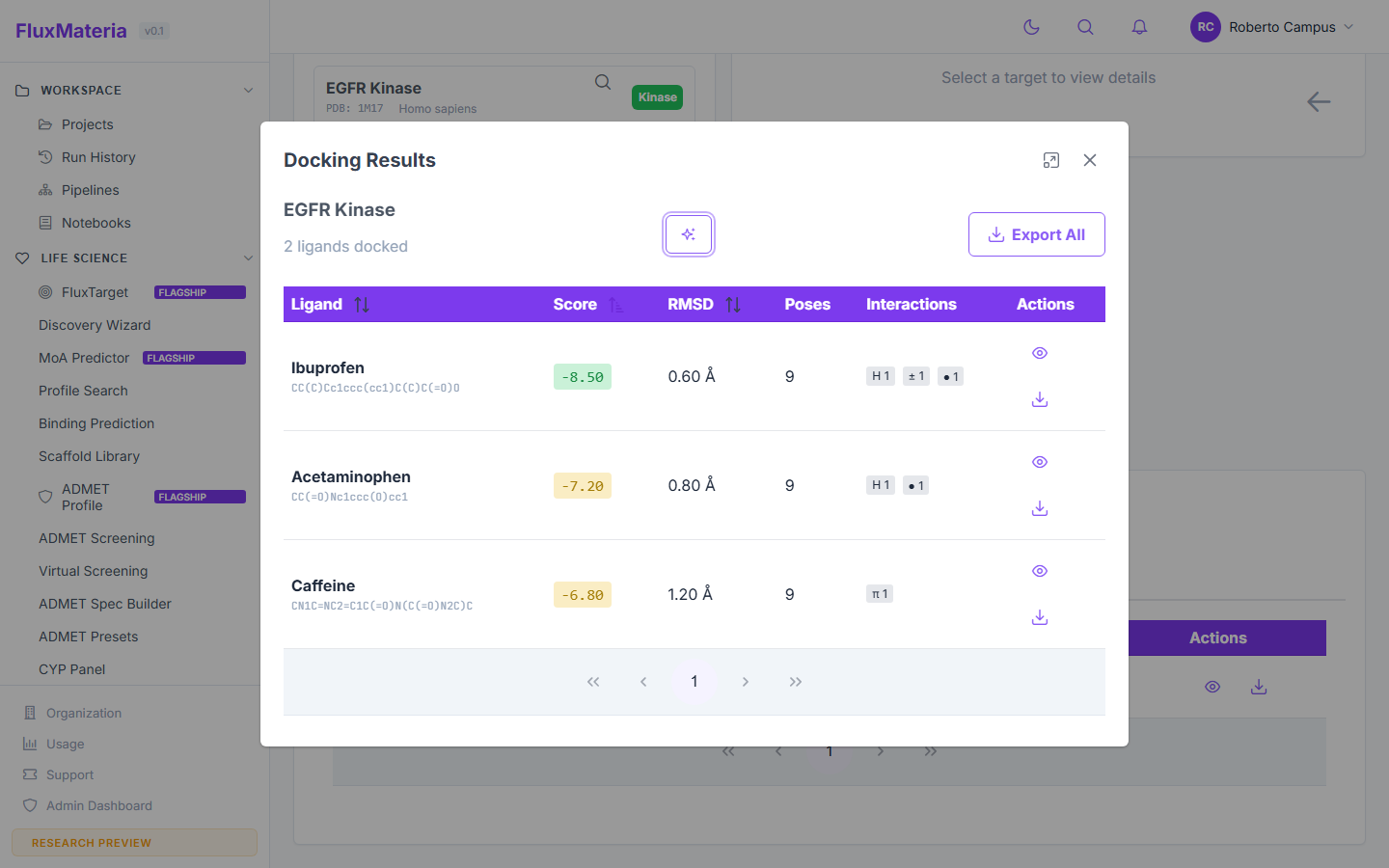 Results dialog with ligand rows, score, RMSD, interaction summary icons